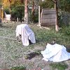 В Луганске обстрелян дом престарелых: 5 погибших (фото, видео)