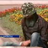 В Кировограде отец солдата 79 бригады объявил голодовку (видео)