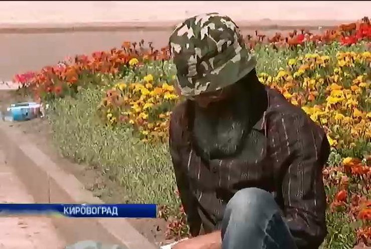 В Кировограде отец солдата 79 бригады объявил голодовку (видео)