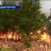 Під Миколаєвом внаслідок пожежі вигоріло 8 га степу