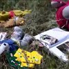 Пілоти рейсу МН17 не помічали нічого дивного до трагедії