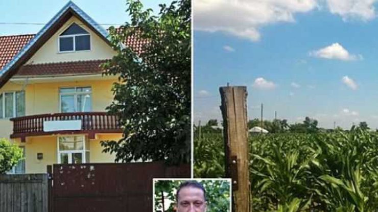 Коттедж жителя Бухареста в селе превратили в кукурузное поле (фото)