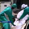 Эксперты призывают использовать экспериментальные лекарства против Эболы