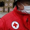 Красный Крест рассматривает предложение Кремля о гуманитарной миссии