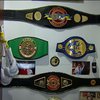 Боксерка Шатерникова продає чемпіонський пояс для допомоги бійцям