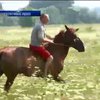 Двоє безробітних мешканці Сум покрали коней на пасовищі