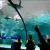 У Китаї відкрився найбільший у світі акваріум (відео)