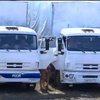 Україна готова пропустити гуманітарний конвой через підконтрольні армії території