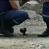 В детсаду Славянска нашли три сотни снарядов