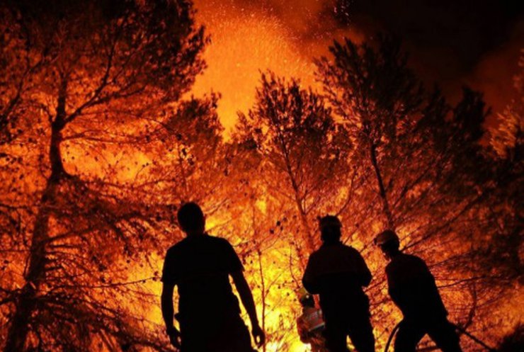Півтисячі рятувальників борються з масштабним вогнем у Португалії
