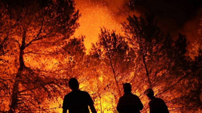 Півтисячі рятувальників борються з масштабним вогнем у Португалії