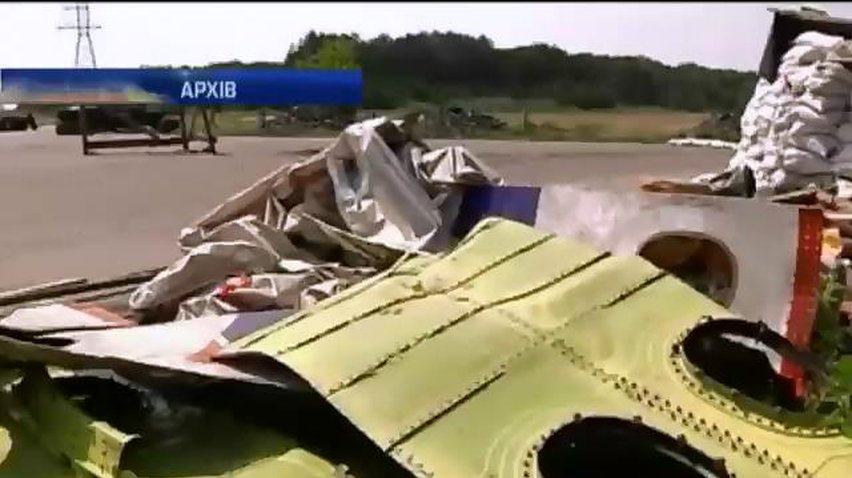 Експертів з Малайзії знову відправлять на огляд місця падіння Боїнга