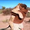 Благодарная львица обняла своего спасителя (видео)