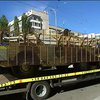 С Киева на Донбасс отправили бойцов 72-й механизированной бригады Минобороны