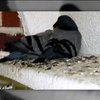 Мир в кадре: из мэрии города Бельгии вынесли 10 тонн помета