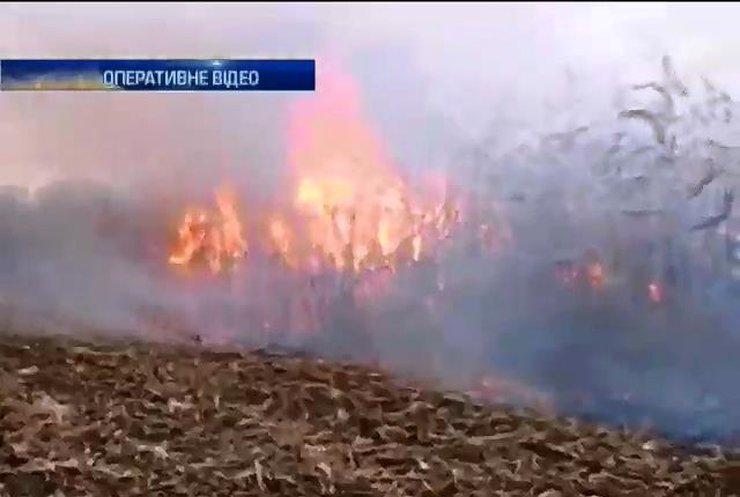 На Черкащині через недбалість згоріло 23 гектари врожаю