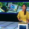 СБУ на Донеччины затримали трьох диверсантів Оплоту