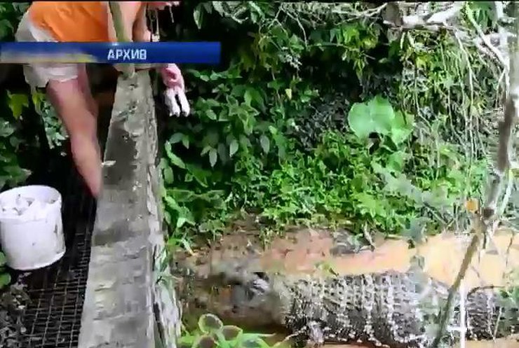 Мир в кадре: в Таиланде пенсионерка покормила собой крокодилов