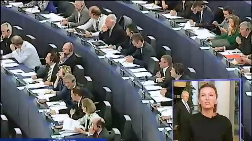 Евродепутаты радуются подписанию договора об ассоциации с Украиной (видео)