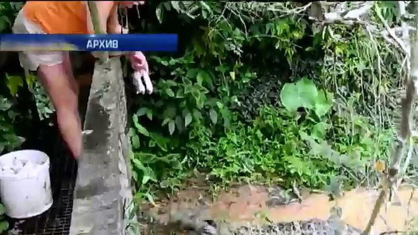 Мир в кадре: в Таиланде пенсионерка покормила собой крокодилов