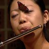 Японка сыграла на флейте под трепет крыльев бабочки (видео)