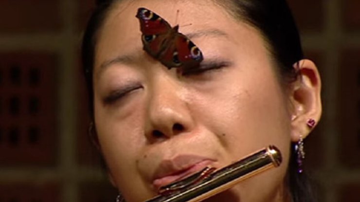 Японка сыграла на флейте под трепет крыльев бабочки (видео)