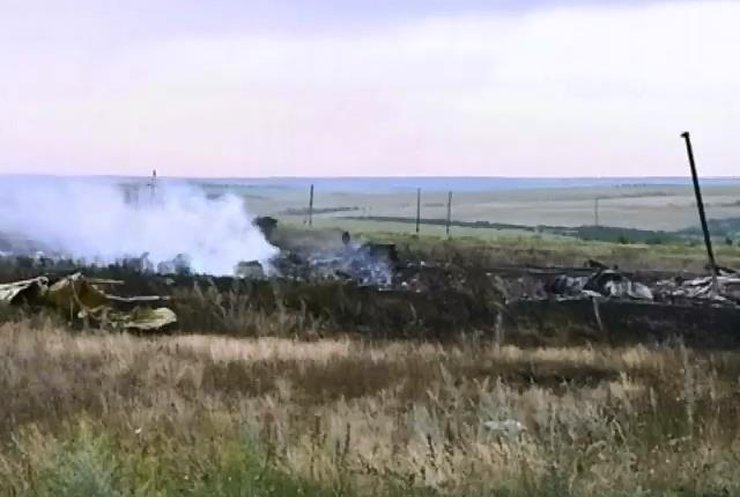 Німецький детектив взявся за розслідування катастрофи рейсту MH17 на Донеччині