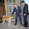 Япония передумала приглашать Путина в Токио этой осенью