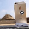IPhone 6 Plus проверили на прочность снайперской винтовкой (видео)
