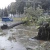 Разгул стихии: В Мариуполе - шторм, в Днепропетровске деревья вырывает с асфальтом (фото, видео)