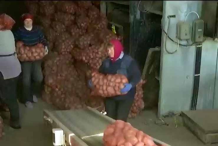 Раненым украинским военным подарили 50 тонн картошки