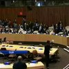 Через ситуацію в Україні Польща пропонує реформувати Радбез ООН