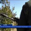 На Луганщині 99 осіб будуть судити за сепаратизм: випуск 00:00