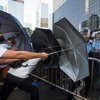 В Гонконге стычки протестующих и полиции вспыхнули с новой силой