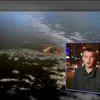 Россия захватила остров Яя в Северном Ледовитом океане