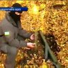 На Луганщині готували замах на керівництво держави