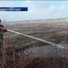 На Київщині палають десять гектарів торфовищ