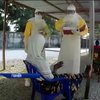 Спалах Еболи в Африці стався через фруктового кажана