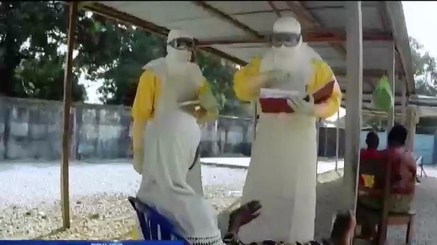 Спалах Еболи в Африці стався через фруктового кажана