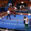 На чемпіонаті Європи по боксу Відо Лончар нокаутував рефері