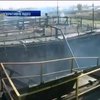 На Дніпропетровщині пожежа знищила 240 тонн качанів кукурудзи