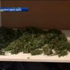 У приватному будинку в Одесі знайшли 10 кілограмів коноплі