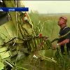 Нідерланди не можуть встановити причини катастрофи Боїнга-777 над Україною