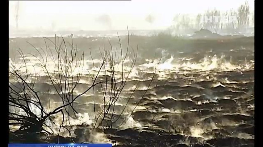 Під Києвом не можуть загасити 5-метрову пожежу на торфовищах (відео)