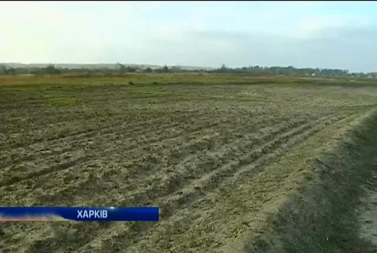 Плацдарм для десанту з Росії виявився незаконною забудовою на Харківщині