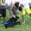 В Еквадорі в'язням дозволили гратися з собаками (відео)