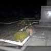 В Кривом Роге за ночь повалили два памятника Ленину