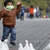 В Голландии нашли птичий грипп, опасный для человека