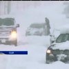 В Нью-Йорку водії замерзають у снігових заметах