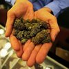 В Колорадо к празднику марихуану продают по скидкам